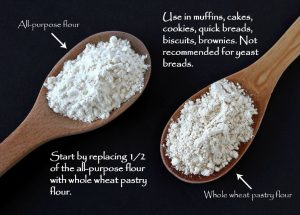 How to Substitute Whole Wheat Flour for All-purpose Flour - If you want to substitute whole wheat flour for all-purpose flour here’s a quick rundown on how to use different types of whole wheat flour in your recipes.